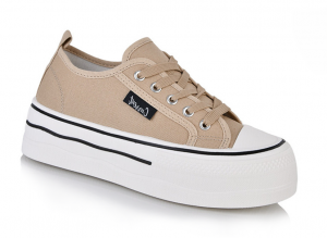 ������ ����  613 �����