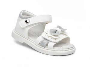 ������ C����볿  65077 ��